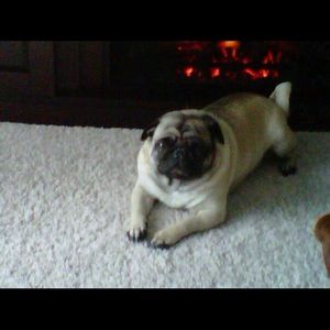 Meet your Posher, Soroya