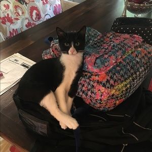 Meet your Posher, Amy