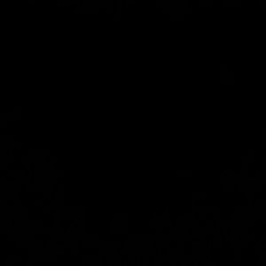 Meet your Posher, Zulma