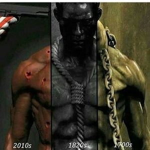 Meet your Posher, Lynn