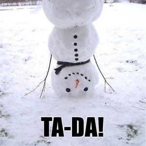 Meet your Posher, Ginger