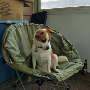 Meet your Posher, Beth