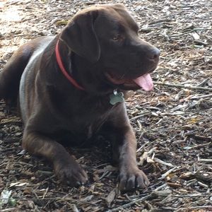 Meet your Posher, Cathie