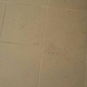 Meet your Posher, Dwayne