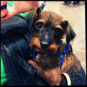 Meet your Posher, Leslie