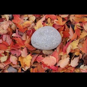 Meet your Posher, Kristine