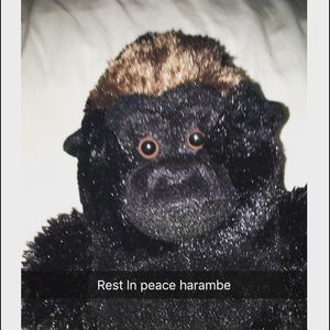 Meet your Posher, Rayanne