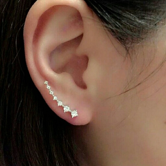Rose Gold Earrings
