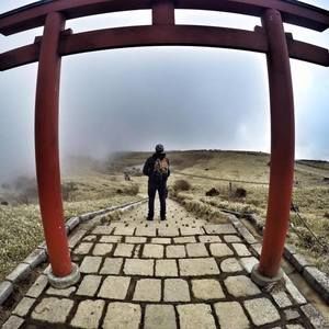 Meet your Posher, Noel