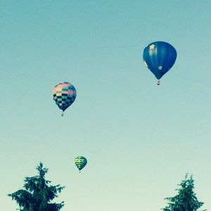 Meet your Posher, Mia