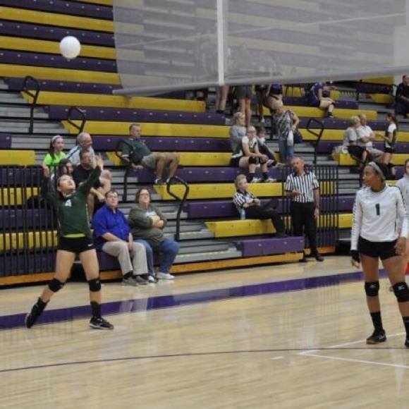 Meet your Posher, Emily - Picture 2 of 3