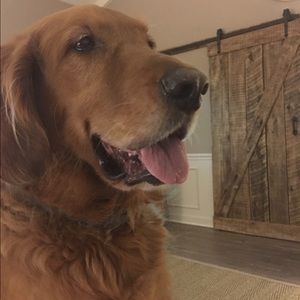 Meet your Posher, Jane