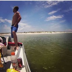 Meet your Posher, Dylan