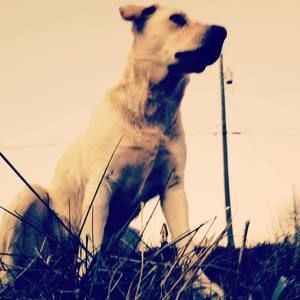 Meet your Posher, Hunter