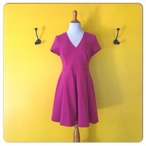 Banana Republic pink fit and flare petite dress