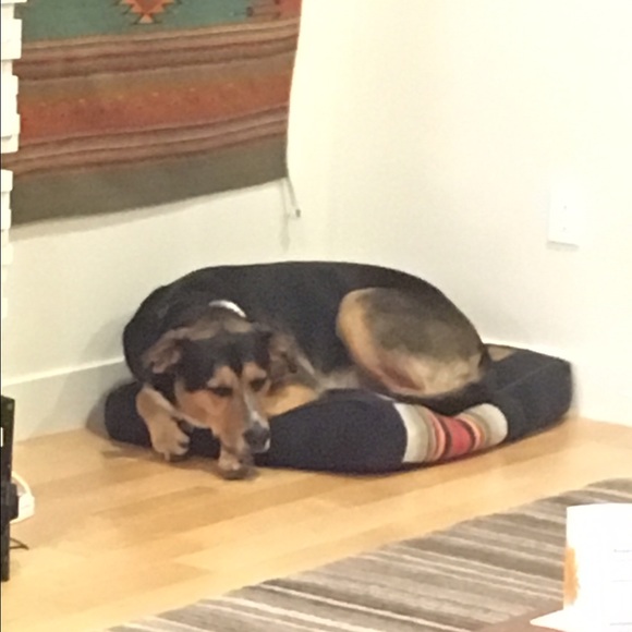 Meet your Posher, Gina - Picture 1 of 1