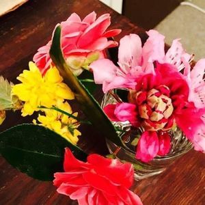 Meet your Posher, Lacey