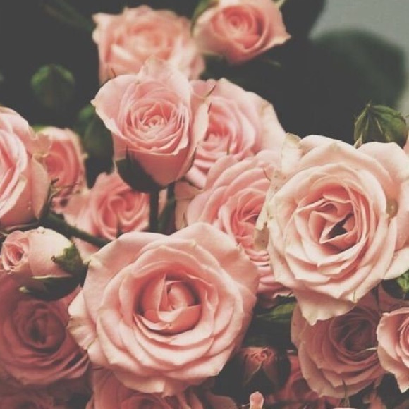 Meet your Posher, Sofia