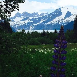 Meet your Posher, Debra