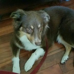 Meet your Posher, Craig