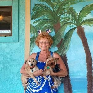 Meet your Posher, Barbara