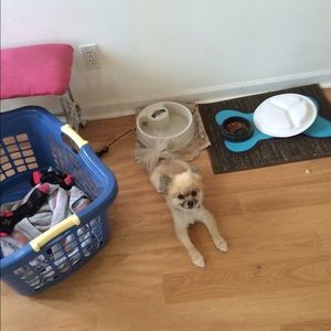 Meet your Posher, John