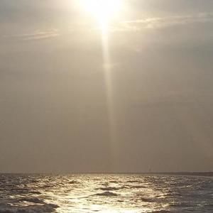 Meet your Posher, Darlene