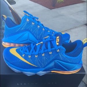 Brand New Nike LeBron James "Entourage" Size 11.5
