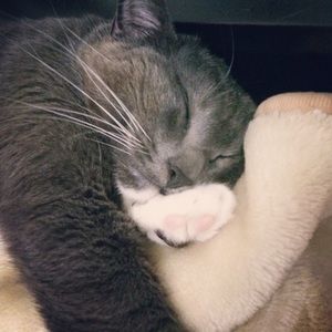 Meet your Posher, Christa