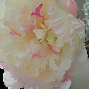 Meet your Posher, Lashawna