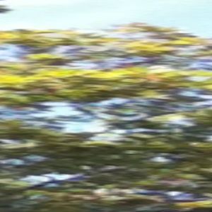 Meet your Posher, Jerry