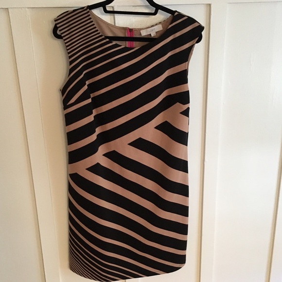 Ann Taylor LOFT Dress