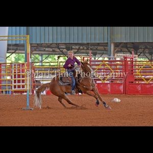 Meet your Posher, Harley