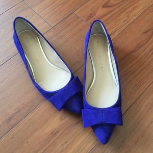 Banana republic blue suede flats
