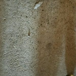 Meet your Posher, Shelby