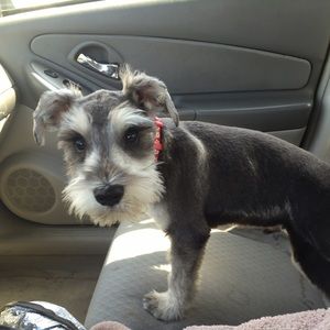 Meet your Posher, Sonia