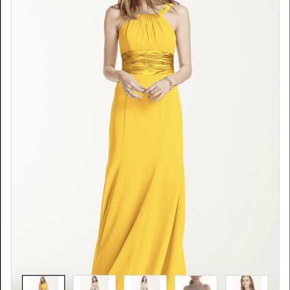 (BRAND NEW) David's Bridal Chiffon and Charmeuse