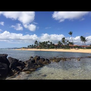 Meet your Posher, Samar