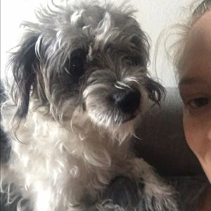 Meet your Posher, Jana