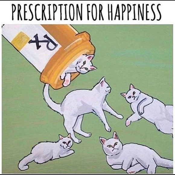 Meet your Posher, Trisha