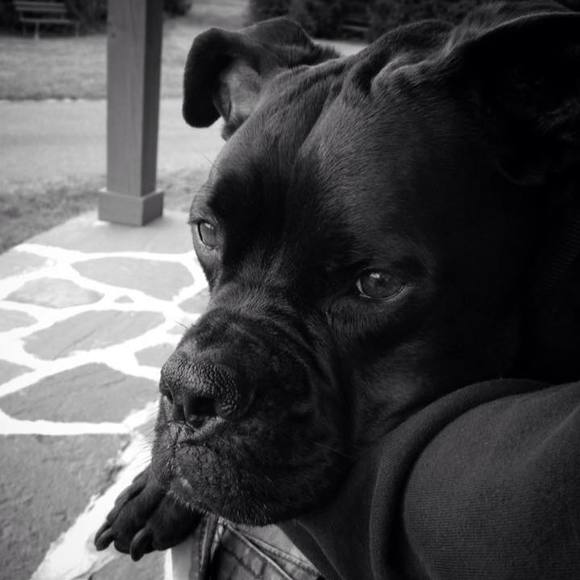 Meet your Posher, Candace - Picture 1 of 1