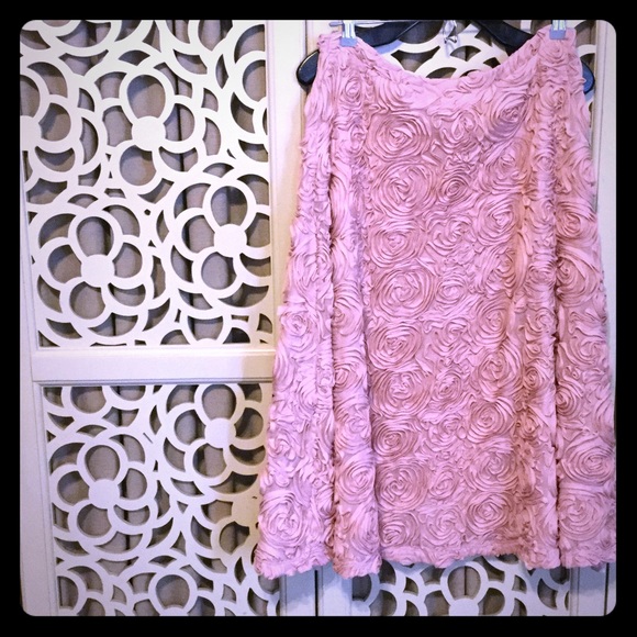 Anthropologie HD in Paris Petaluma Skirt L