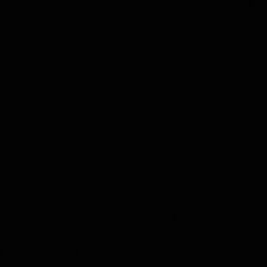 Meet your Posher, Ladaisha