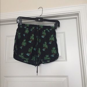 palm trees print shorts