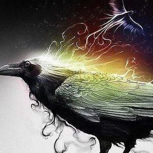 Meet your Posher, Peggy