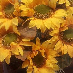 Meet your Posher, Annie