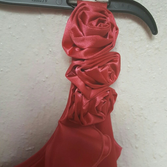 Beautiful formal dress! - Picture 3 of 4