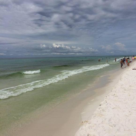 Meet your Posher, Maggie - Picture 1 of 1