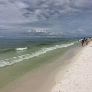 Meet your Posher, Maggie