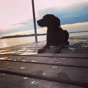 Meet your Posher, Ashton